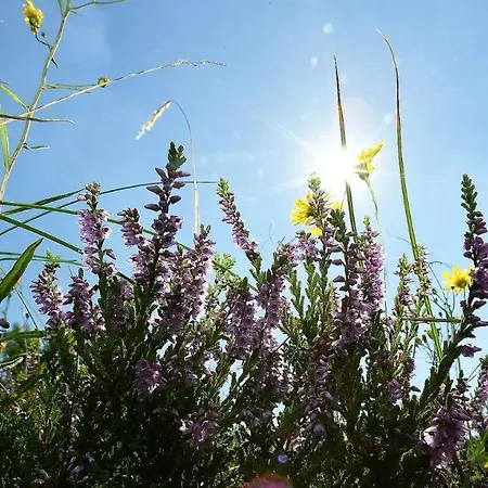 Haus Seewind Hs08 Cuxhaven