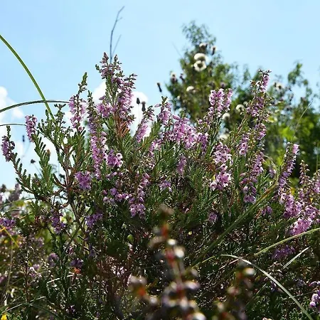 Haus Seewind Hs08 Apartment Cuxhaven